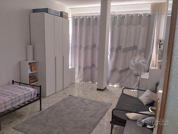 Ampia stanza in centro libera subito