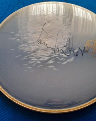 Joe Satriani Tour '95 pelle batteria autografata