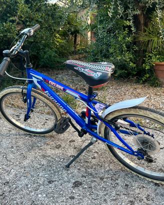 Bicicletta da bambino/ragazzo