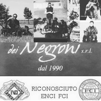 L eccellenza del cane corso