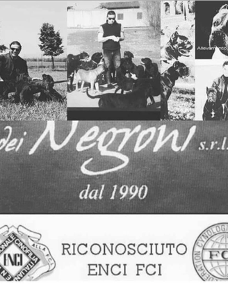 L eccellenza del cane corso