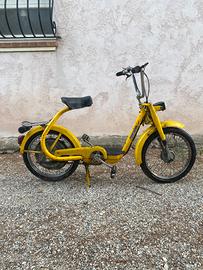Altro Altro modello
