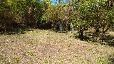 Terreno con rudere