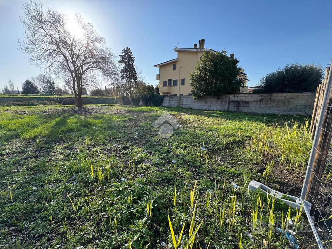 TER. AGRICOLO A ROMA - Altro