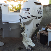 Evinrude etec 250