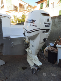 Evinrude etec 250