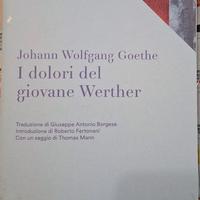 I DOLORI DEL GIOVANE WERTHER