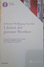 I DOLORI DEL GIOVANE WERTHER