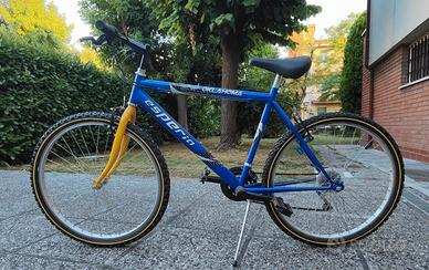 Bicicletta Mountain-bike 