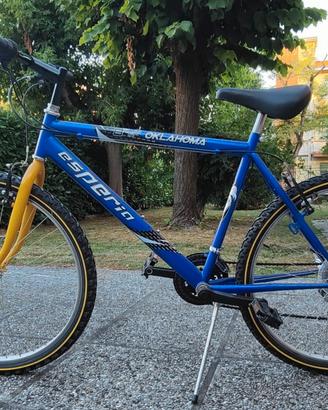 Bicicletta Mountain-bike 