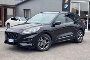Ford Kuga 2.0 EcoBlue Hybrid 150 CV 2WD ST-Line