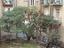 Immagine 5