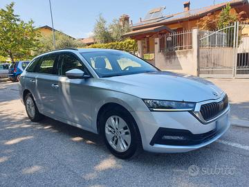 Skoda Octavia executive