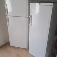 congelatore verticale e frigo liebhrr