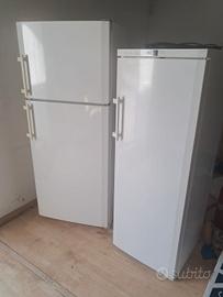 congelatore verticale e frigo liebhrr
