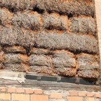 Paglia in balle, pressata a filo di ferro, coperta