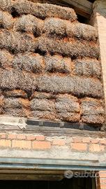 Paglia in balle, pressata a filo di ferro, coperta