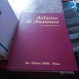 ATLANTE ANATOMIA