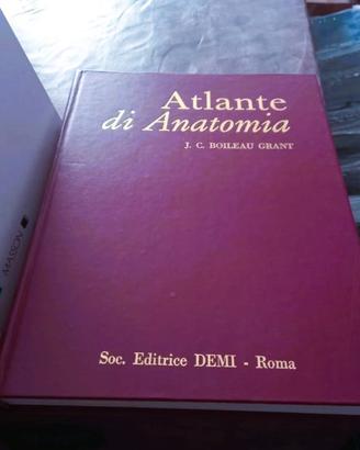 ATLANTE ANATOMIA