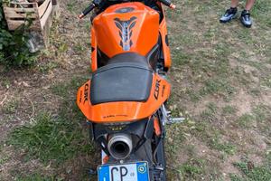 CBR 600 rr