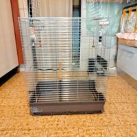 gabbie per pappagalli 