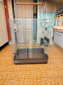 gabbie per pappagalli 