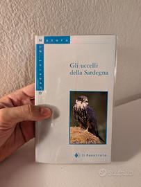 gli uccelli della Sardegna, il maestrale