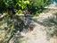 Immagine 26