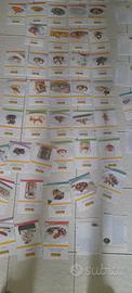 lotto 72 schede ricette  vintage Tigros 