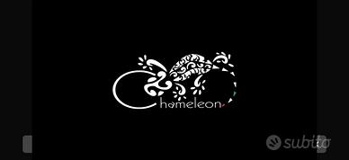 Chameleon scissors monacelli Alex De Stefano