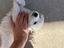 Immagine 3