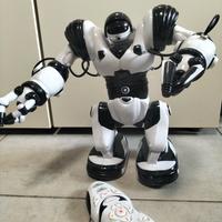 Robosapiens Wowwee