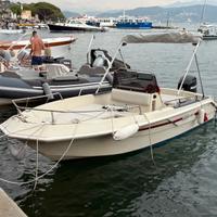 Barca open ELAN 495 GT Mercury 40/60 4t e carrello