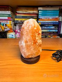 Lampada di Sale Grezza con Presa Usb