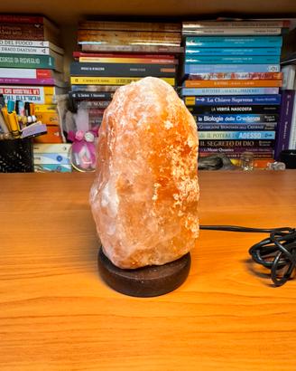 Lampada di Sale Grezza con Presa Usb