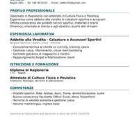 Candidatura lavoro 