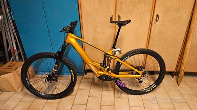 Orbea Wild H10