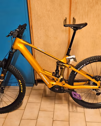 Orbea Wild H10