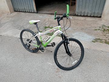 mounte bike