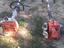 Immagine 2