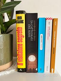 Lotto libri narrativa e classici