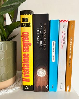 Lotto libri narrativa e classici