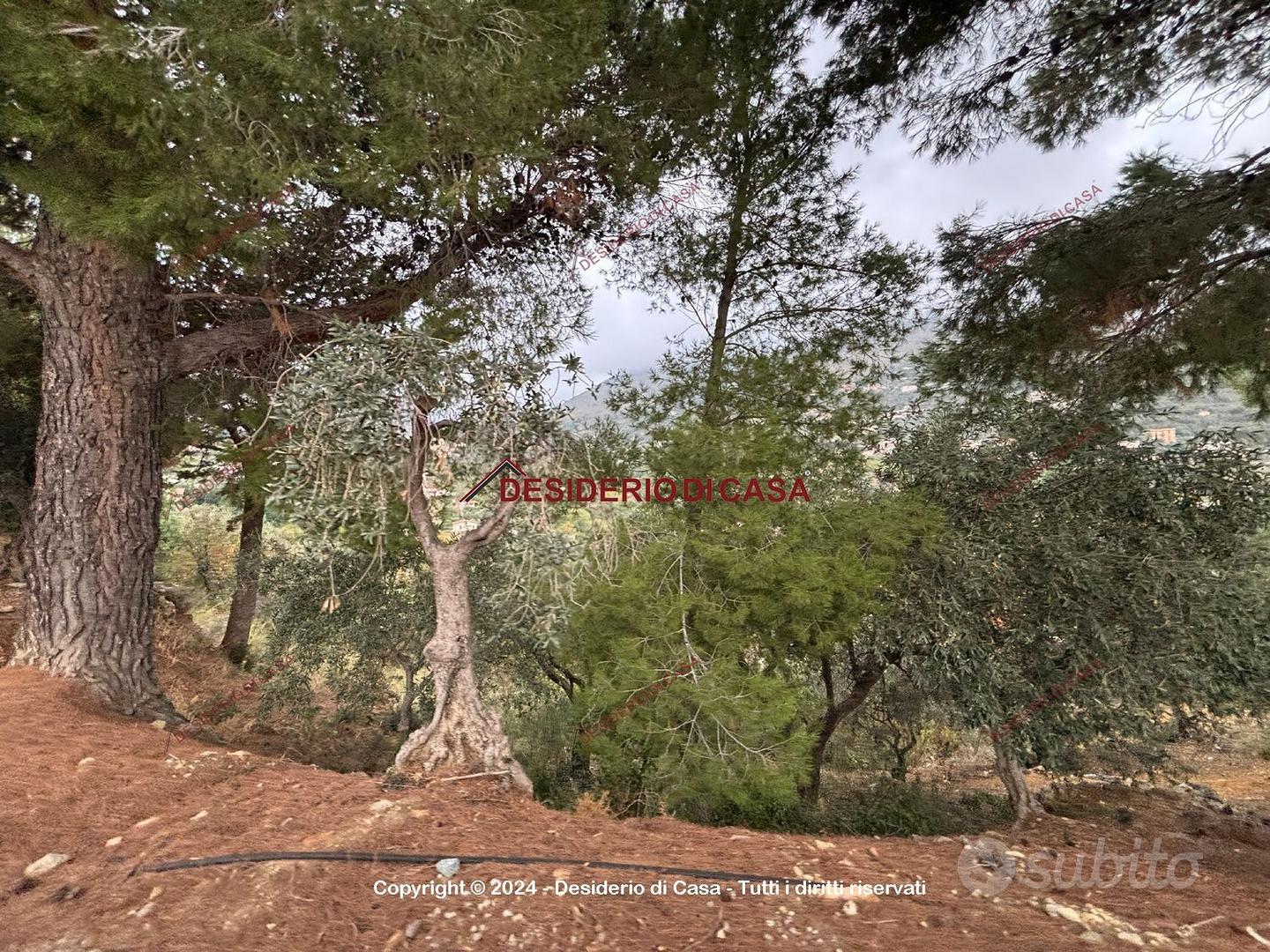 House in Monreale, Villaggio Santa Rosalia - Vista 2