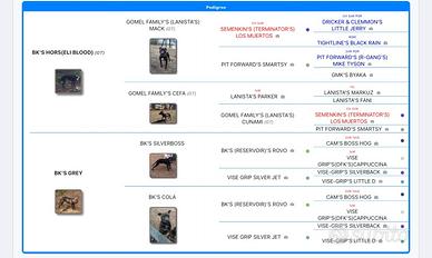 Pit bull adba