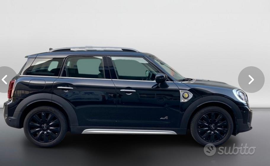 Mini Mini Countryman