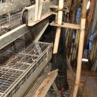 Gabbie Usate per Allevamento Conigli - Ottime Cond
