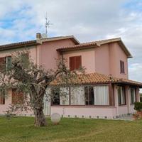 Casa Indipendente Grosseto [Cod. rif 3201592VRG]