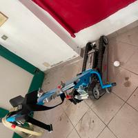 montascale disabili cingolato