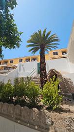 Bilocale Sant'Agata con giardino