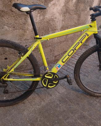 MTB 26